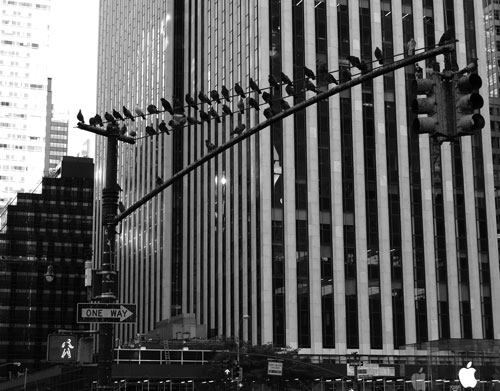 bw travel