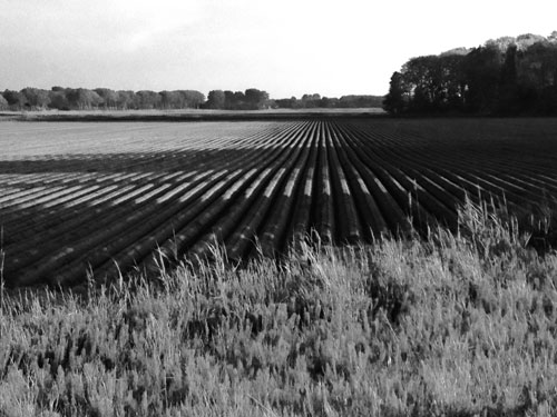 land